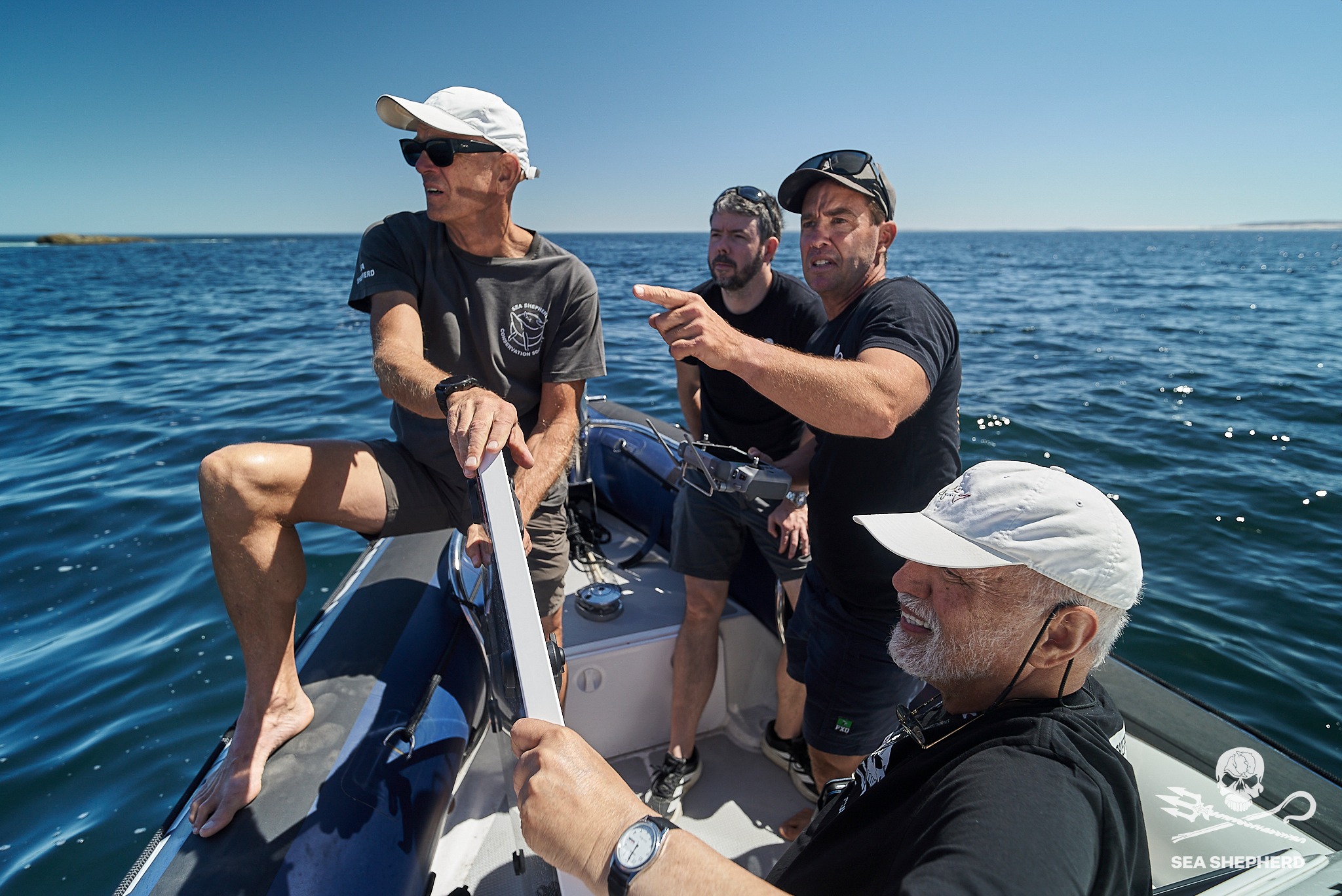 How Sea Shepherd Australia are using a Protector to save endangered sea lions 